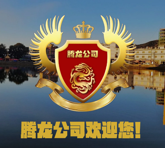 腾龙娱乐中心